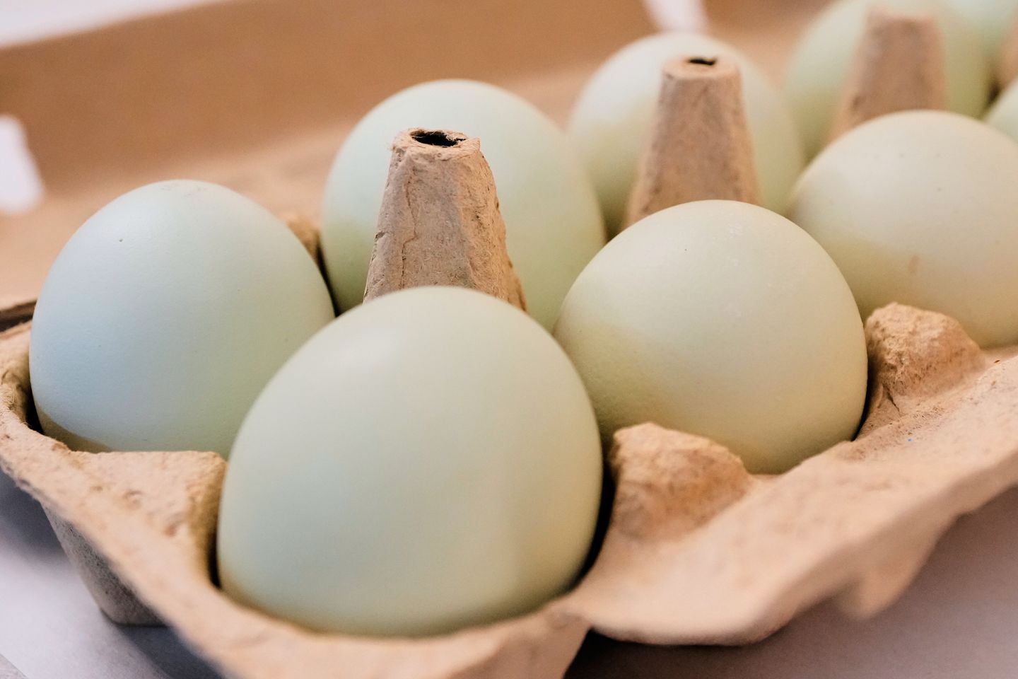 Egg Producers to Pay $3.3 Million, Donate Eggs to Resolve Price-Fixing Allegations