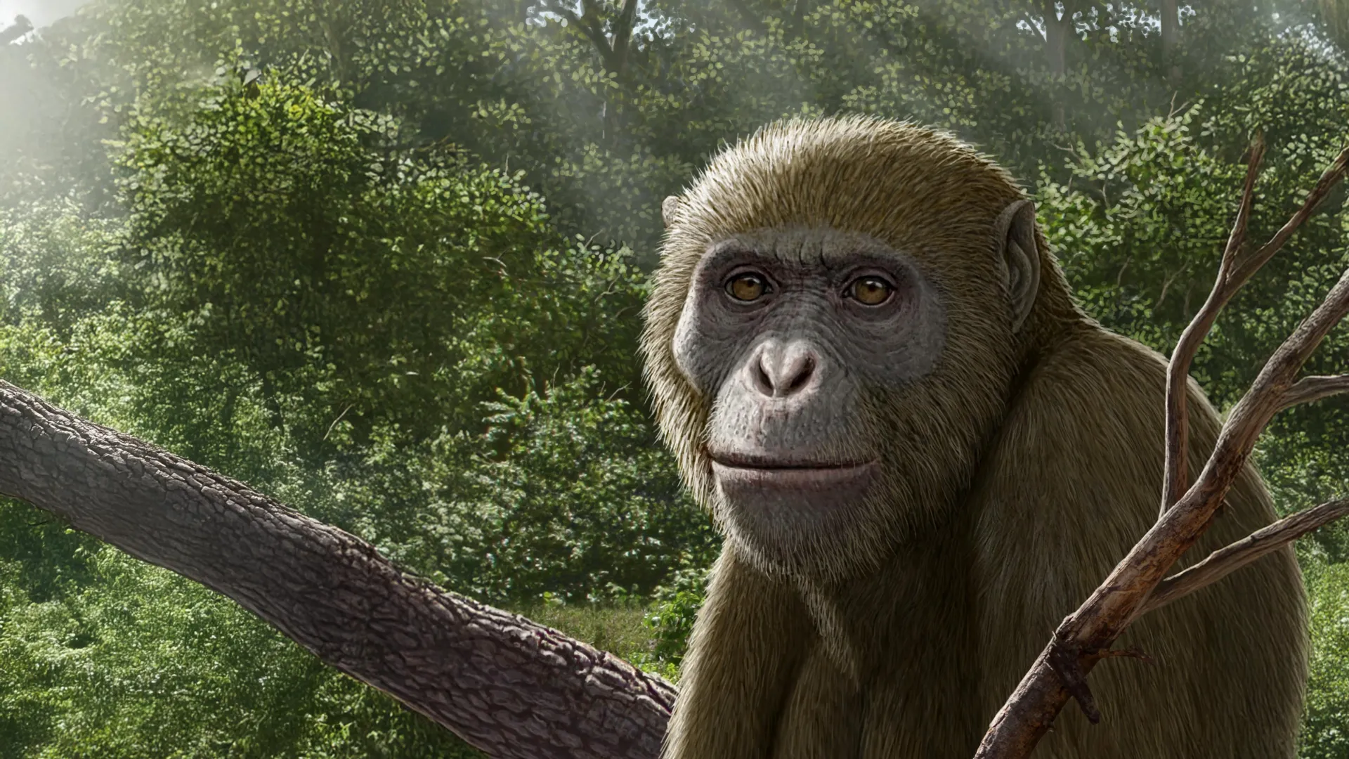 Egyptian Ape Fossil Challenges Human Origins Story
