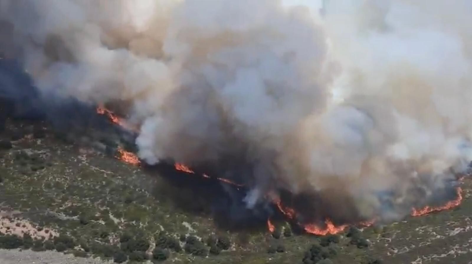 El incendio de Guadalajara supera las 29.000 hectáreas y provoca la evacuación de 34 municipios