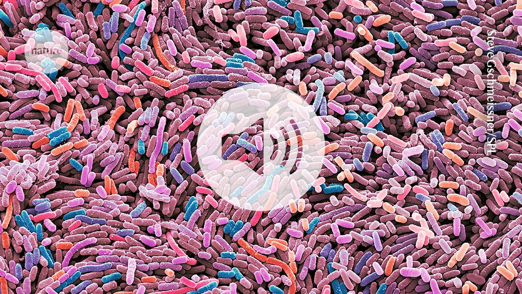 Gentechnisch veränderte Probiotika zeigen vielversprechendes Potenzial bei der Senkung des Blutzuckerspiegels