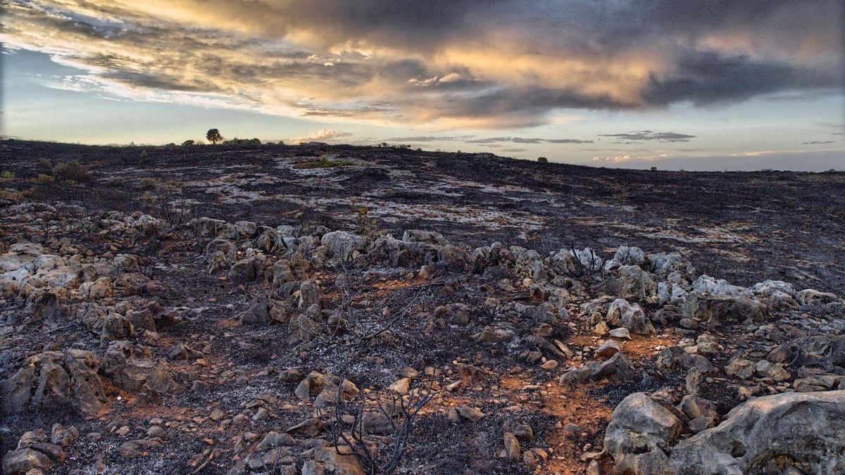 España, el país más afectado por la desertificación en Europa, según expertos