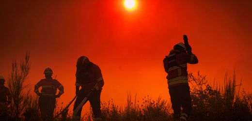 Europas Waldbrandrisiko könnte bis 2100 fast verdreifachen