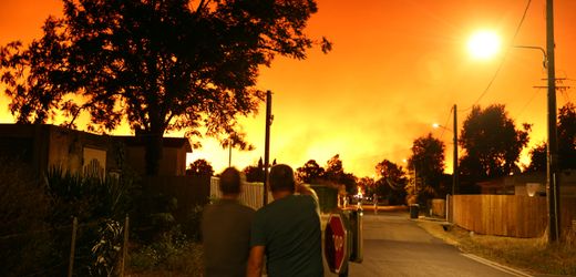 Extremwetter in Europa: Waldbrände nehmen zu und Feuerstürme treten auf