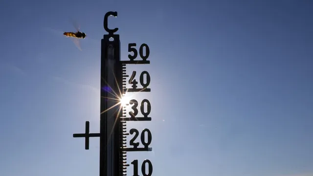 Fast 16.000 hitzebedingte Todesfälle im Sommer in Deutschland geschätzt