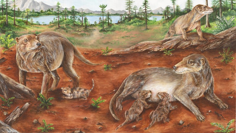 Fossil Evidence Suggests Mammal Ancestors Birthed Live Young 236 Million Years Ago