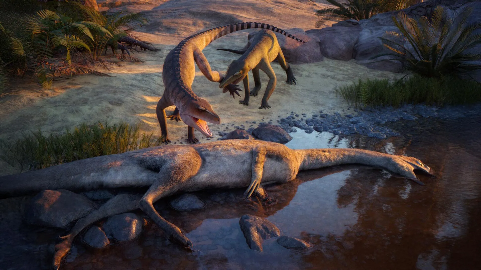 Fossil Reveals New Triassic Predator