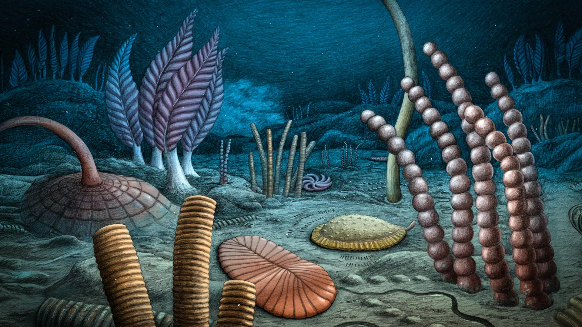 Fossilien in Kanada verschieben das Erscheinen des tierischen Lebens