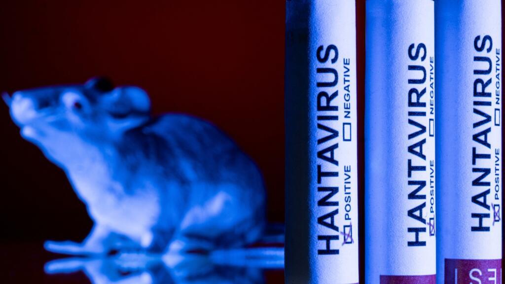 French Authorities Say Hantavirus Outbreak Under Control; WHO Warns of More Cases