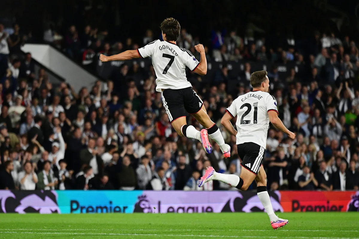 Fulham und AFC Wimbledon treffen im Carabao Cup aufeinander