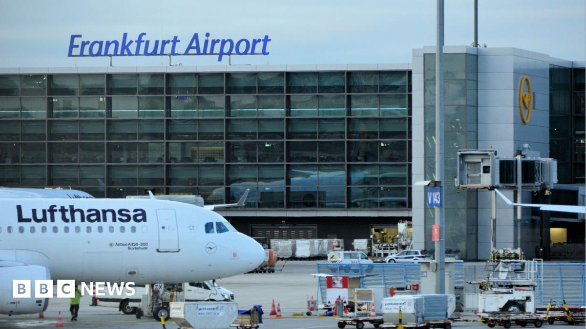 German Airport Workers Die After Malaria Infection, Likely From Imported Mosquitoes