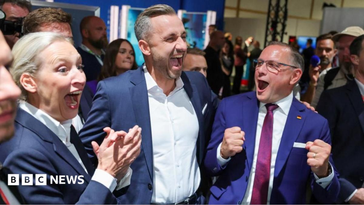 Germany’s AfD Achieves Historic Gains in Saxony-Anhalt Election