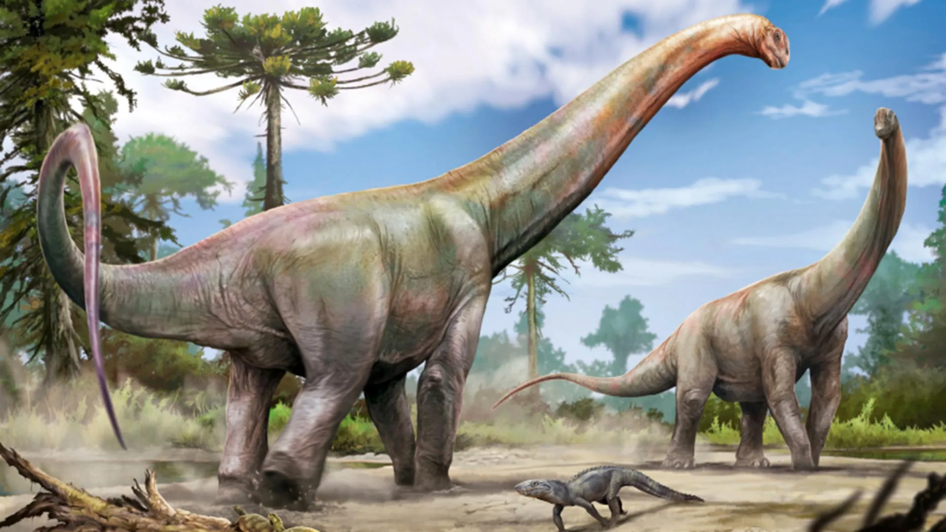 Entdeckung eines riesigen Dinosauriers verbindet Südamerika und Europa