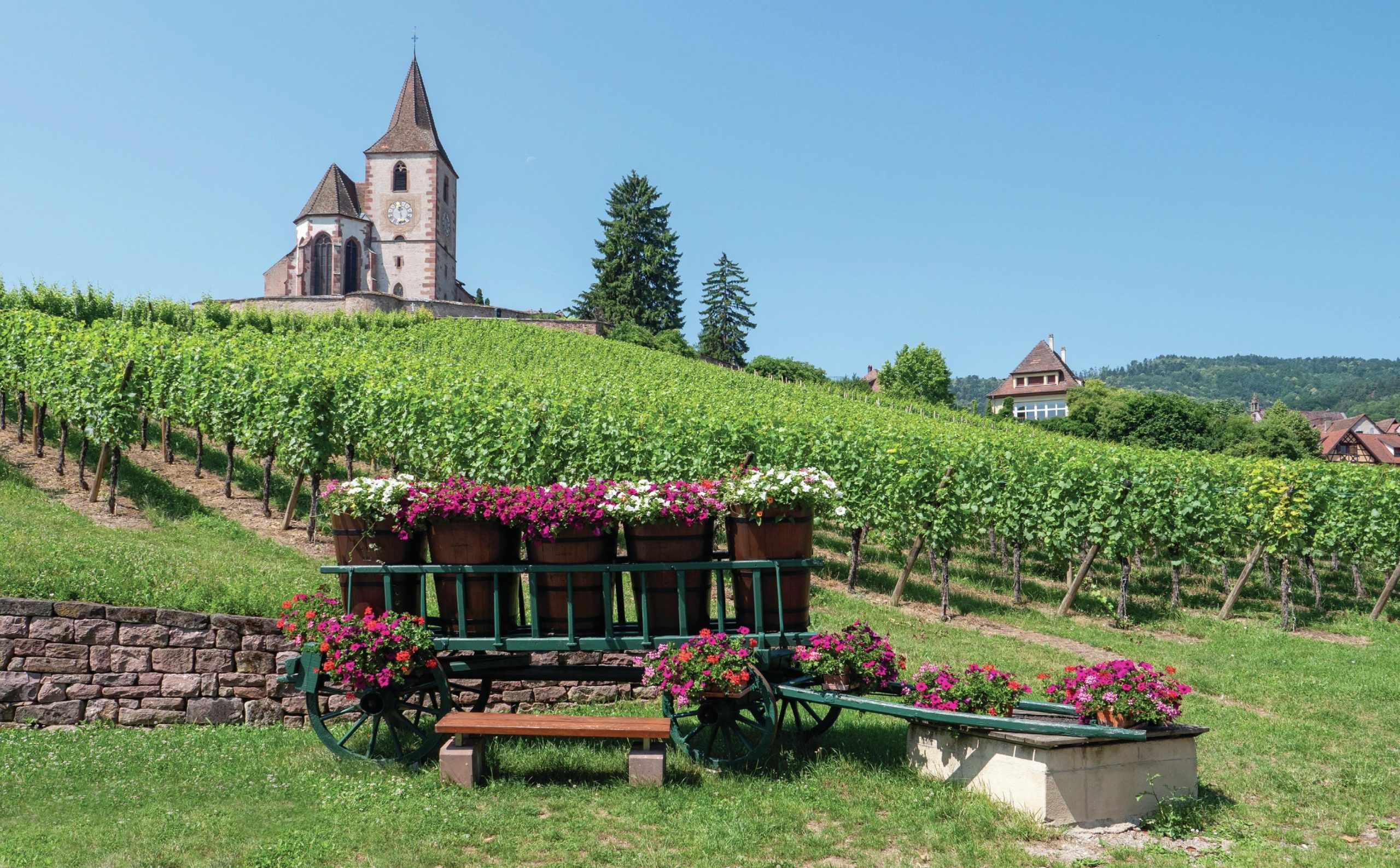 Обявени са медалистите от Global Pinot Gris Masters 2026