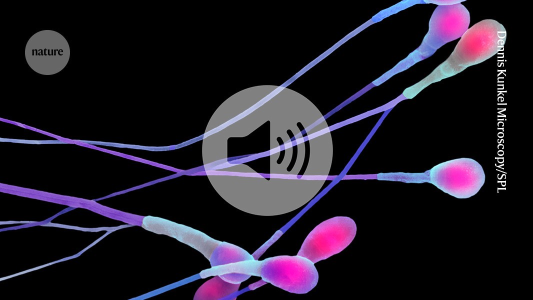 GLP-1 Drugs May Boost Male Fertility, Nature Briefing Reports