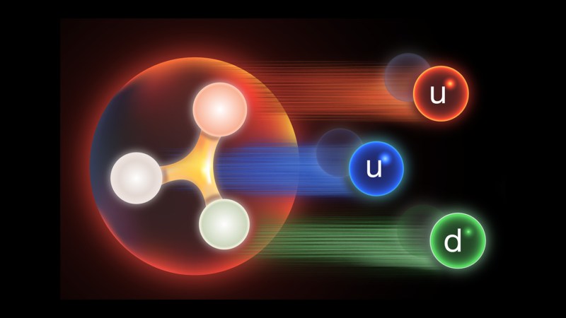 Gluons May Define Proton Identity Through Baryon Number