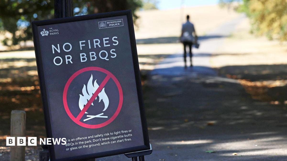 Government Temporarily Bans Disposable Barbecues Due to Wildfire Risk