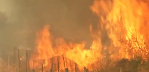 Griechenland kämpft gegen großflächige Waldbrände und Hubschrauberabsturz