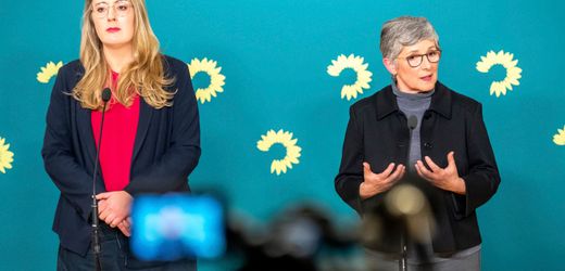 Grüne Fraktion sieht bisherige AfD-Strategie als gescheitert und fordert Neuausrichtung