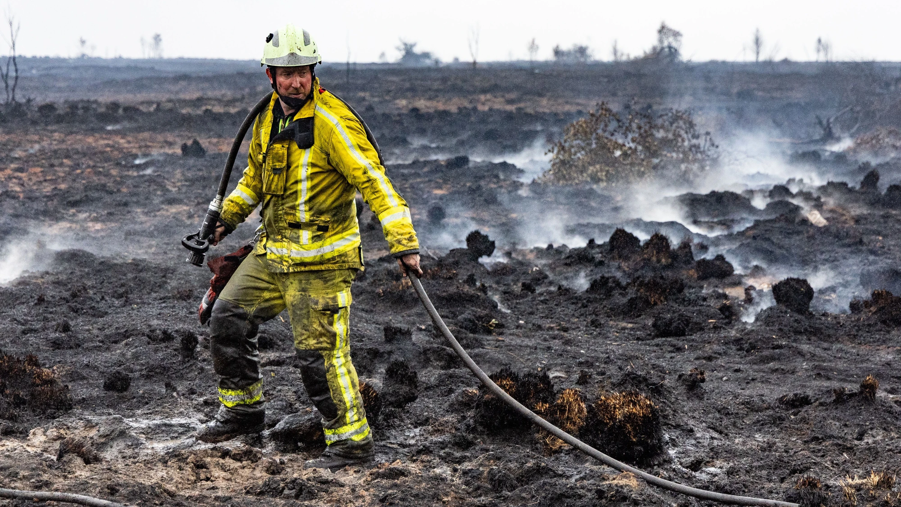 Großbrand im Hohen Venn: Ökologische Schäden und vorsichtiger Optimismus