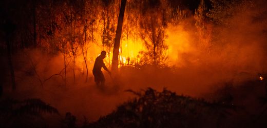 Große Waldbrände in Frankreich: Bordeaux kämpft gegen Feuer und neue Ausbrüche
