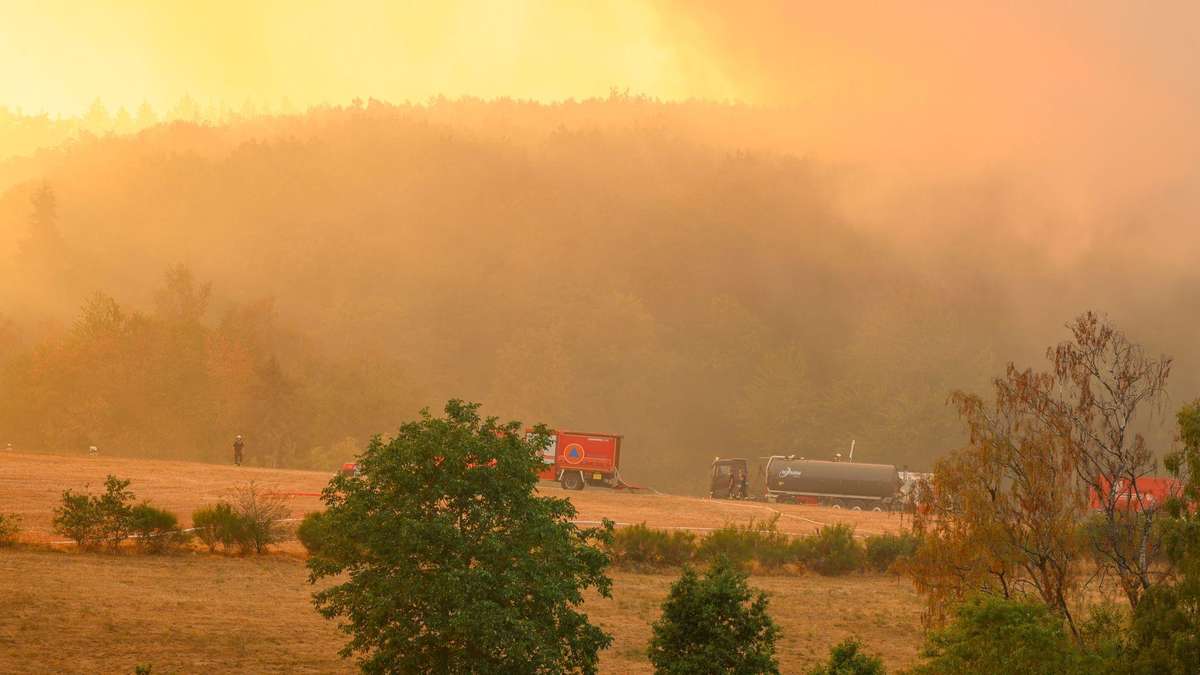 Größter Waldbrand in der Geschichte Nordrhein-Westfalens wütet im Hürtgenwald