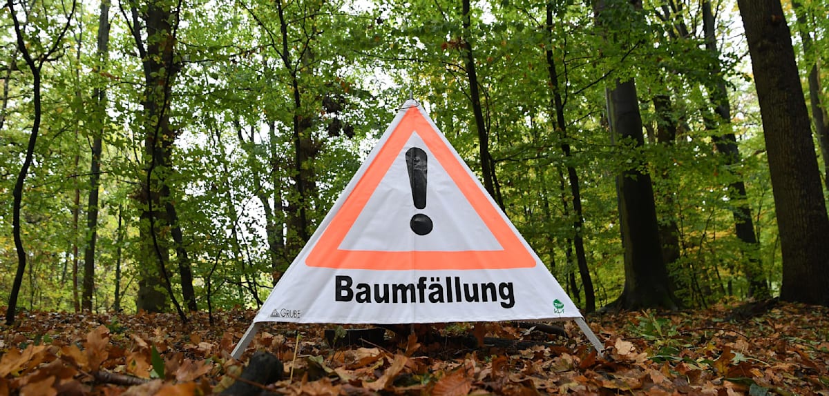 Grundschulkind bei Forstarbeiten von Baum getroffen und tödlich verletzt