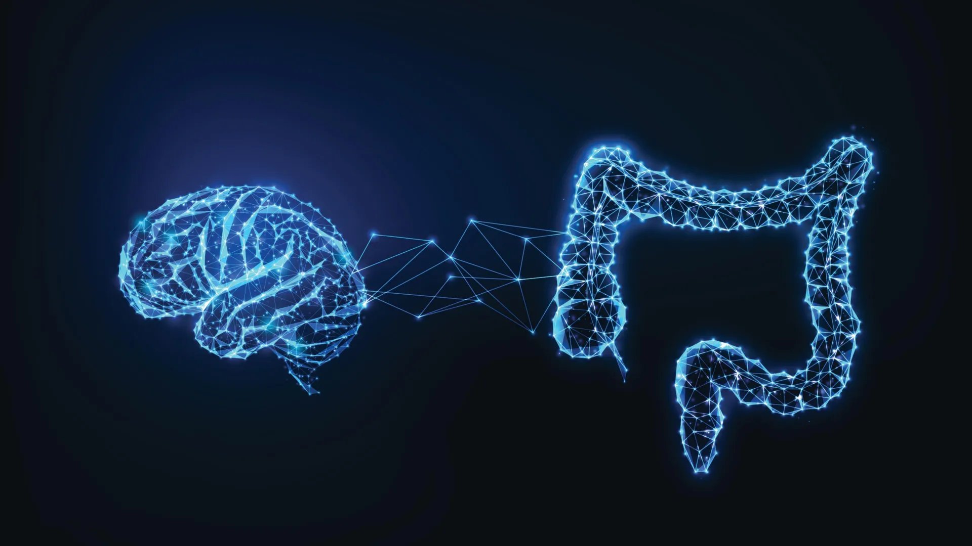 Gut Signals May Play Role in Memory Formation