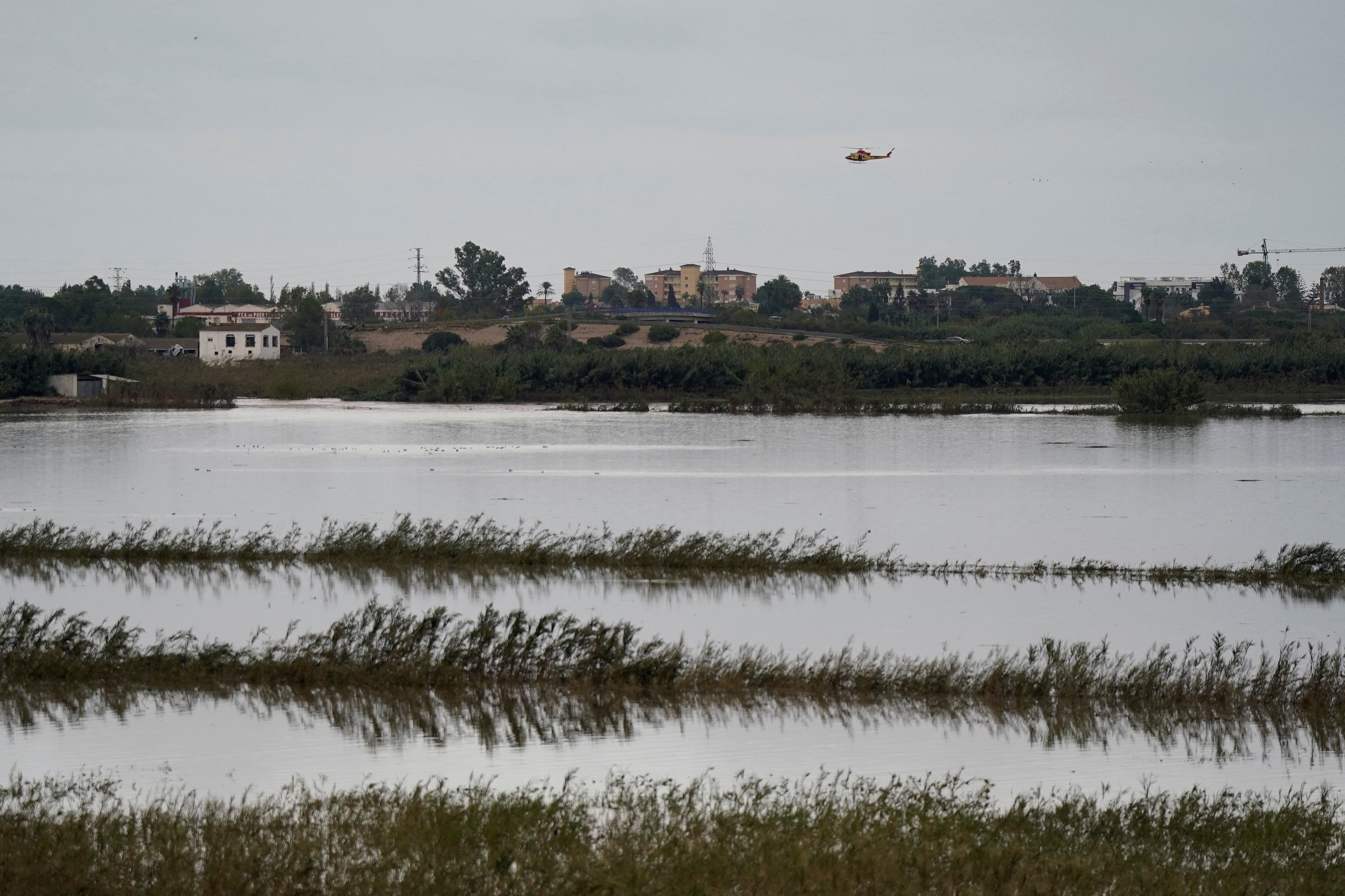 Hallado muerto un agricultor en la marjal de Pego-Oliva tras las inundaciones de la DANA Adam, eleva el número de víctimas a seis