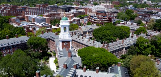 Harvard zahlt Millionenabfindung nach Handel mit Leichenteilen