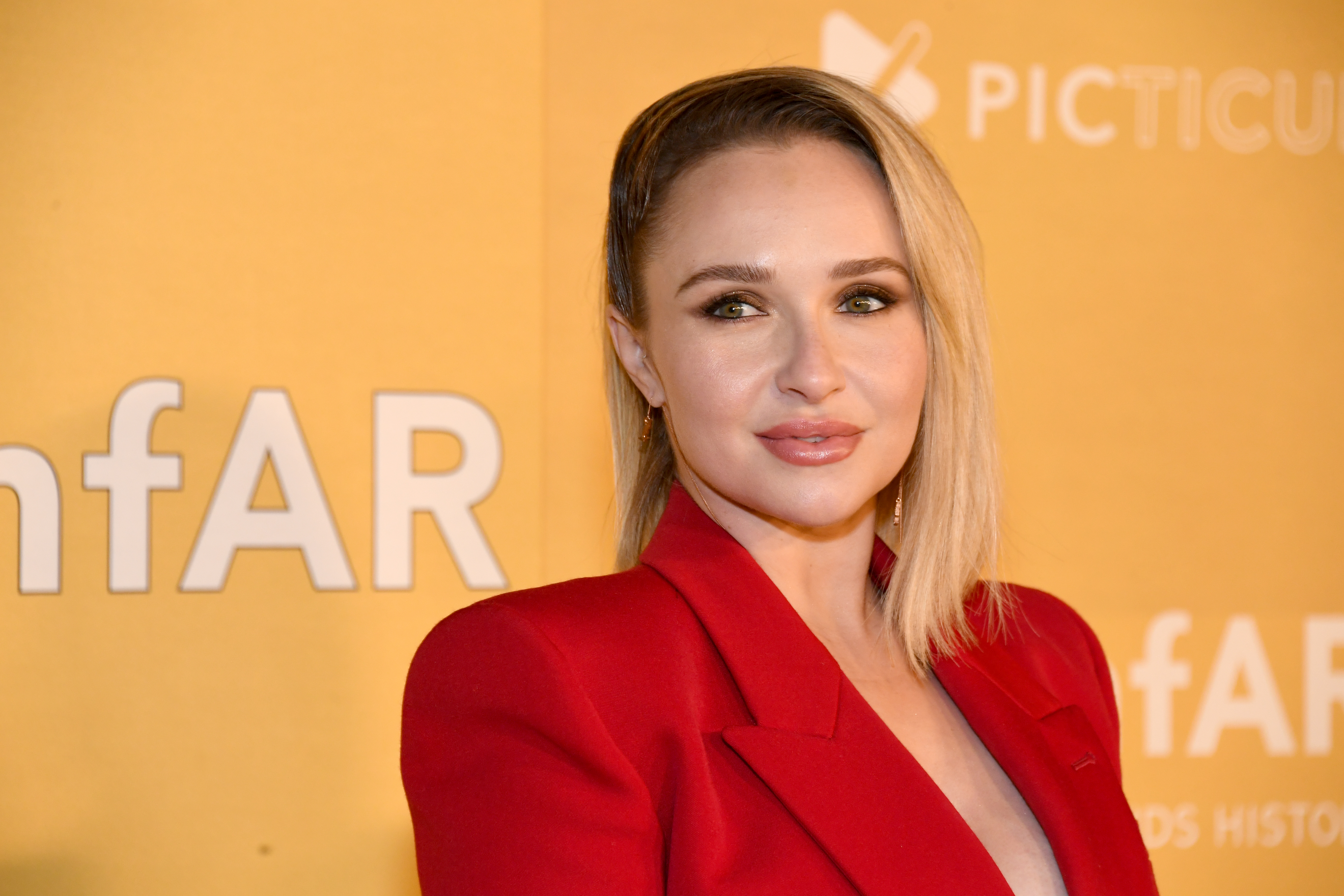 Hayden Panettiere Experienced Pain, Restricted Ex From Book Tour