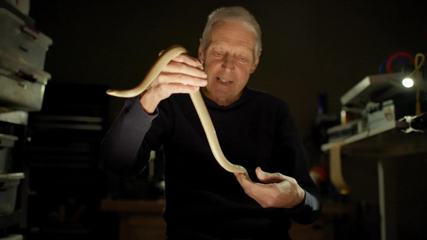 HBO Docuseries Explores Illegal Reptile Trafficking