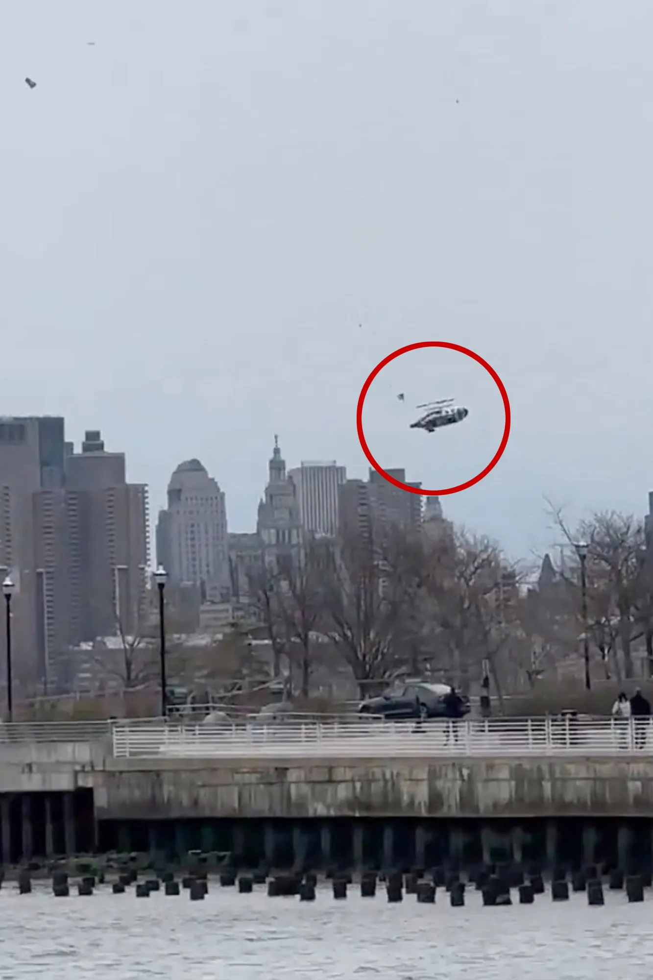 Helicopter Crash in Hudson River Likely Caused by Bird Strike, NTSB Says
