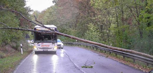 Herbststurm "Luise" verursacht Bahnchaos und Verletzungen, "Manja" droht mit Orkanböen