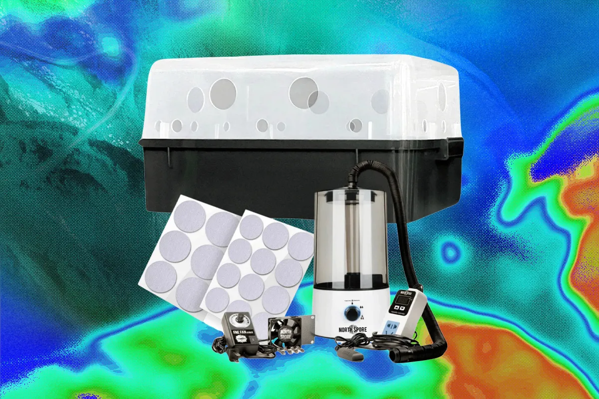 Home Mushroom Growing Methods Tested