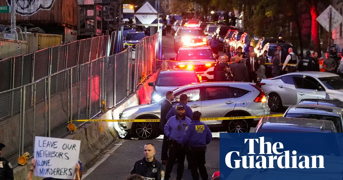 ICE Agent Shoots Man in Bronx SUV with Child Present