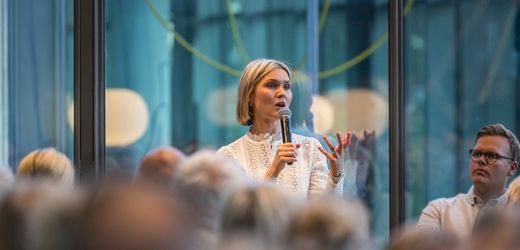 Island bereitet EU-Referendum vor: Beitrittsgespräche wieder aufnehmen?