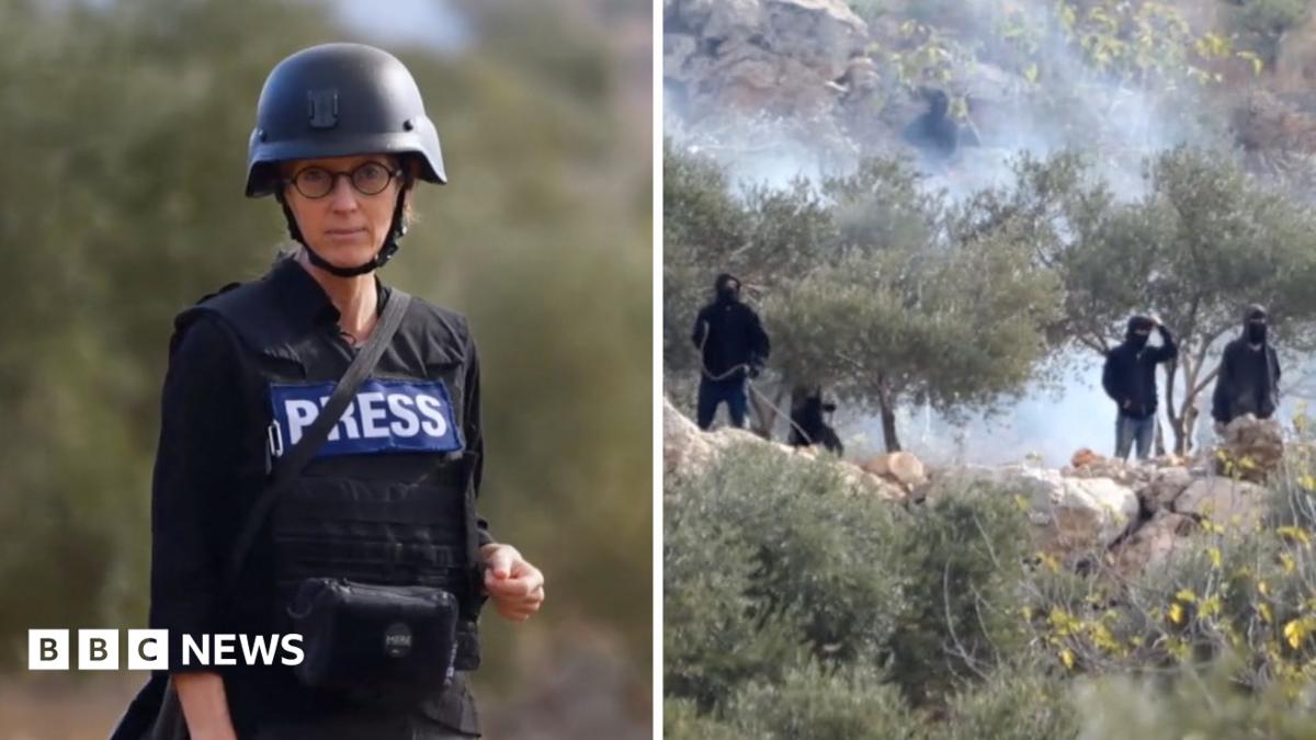 Israeli Settlers Attack Palestinians During Olive Harvest, Violence at All-Time High