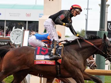 Kentucky Derby Winner Golden Tempo Will Not Compete in Preakness Stakes