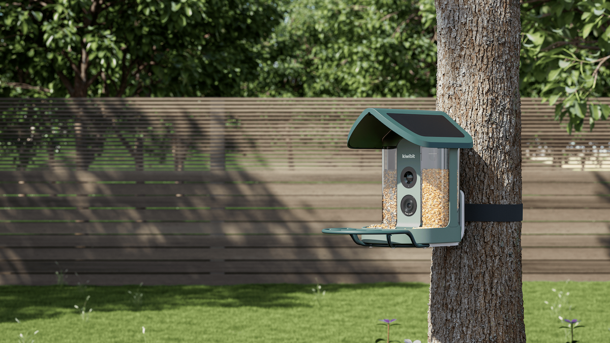 Kiwibit Debuts AI-Powered Bird Feeder with Gamified Species Collection