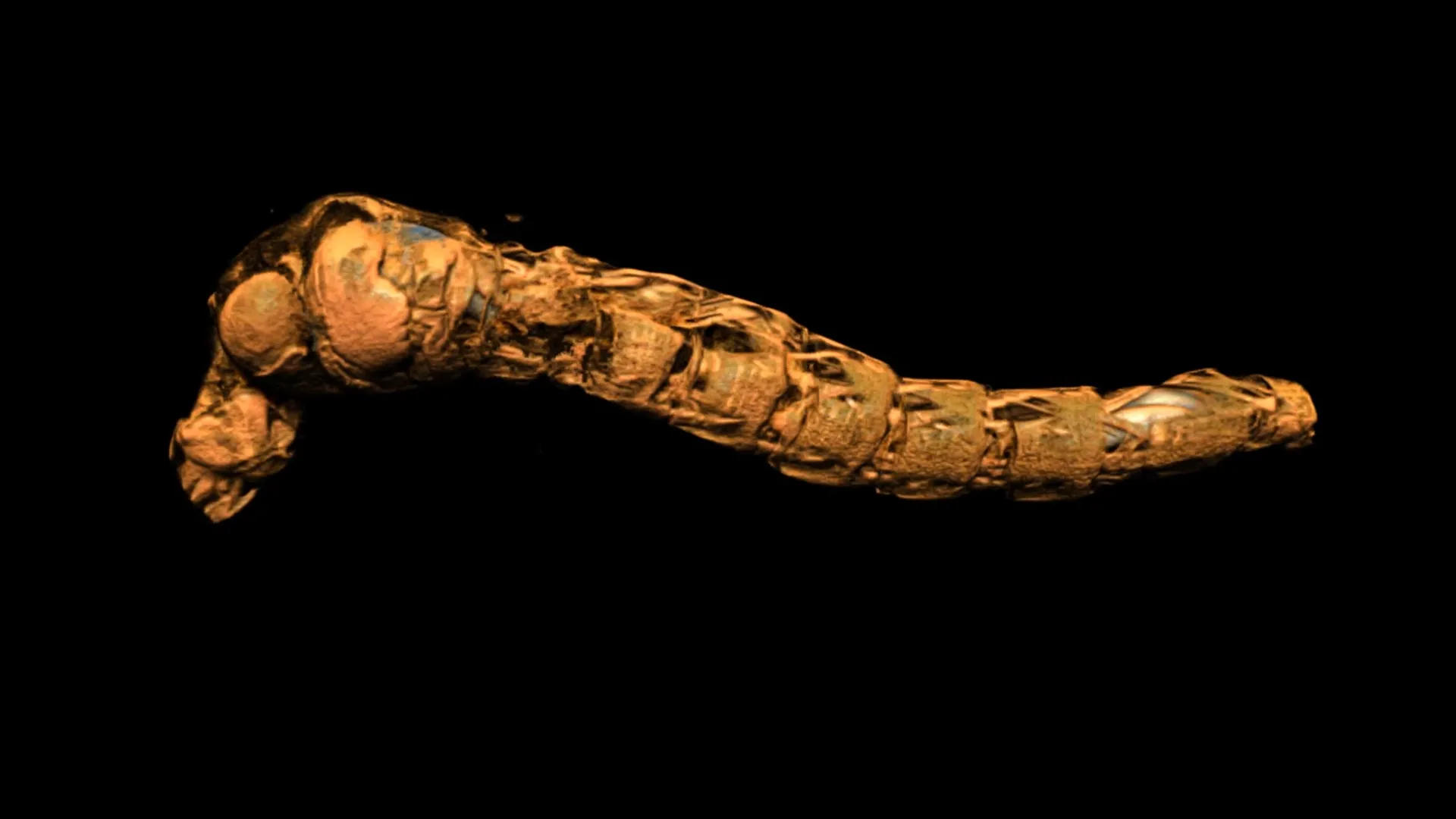 Lake Fly Larvae Dive to Extreme Depths, Challenging Ocean Insect Absence