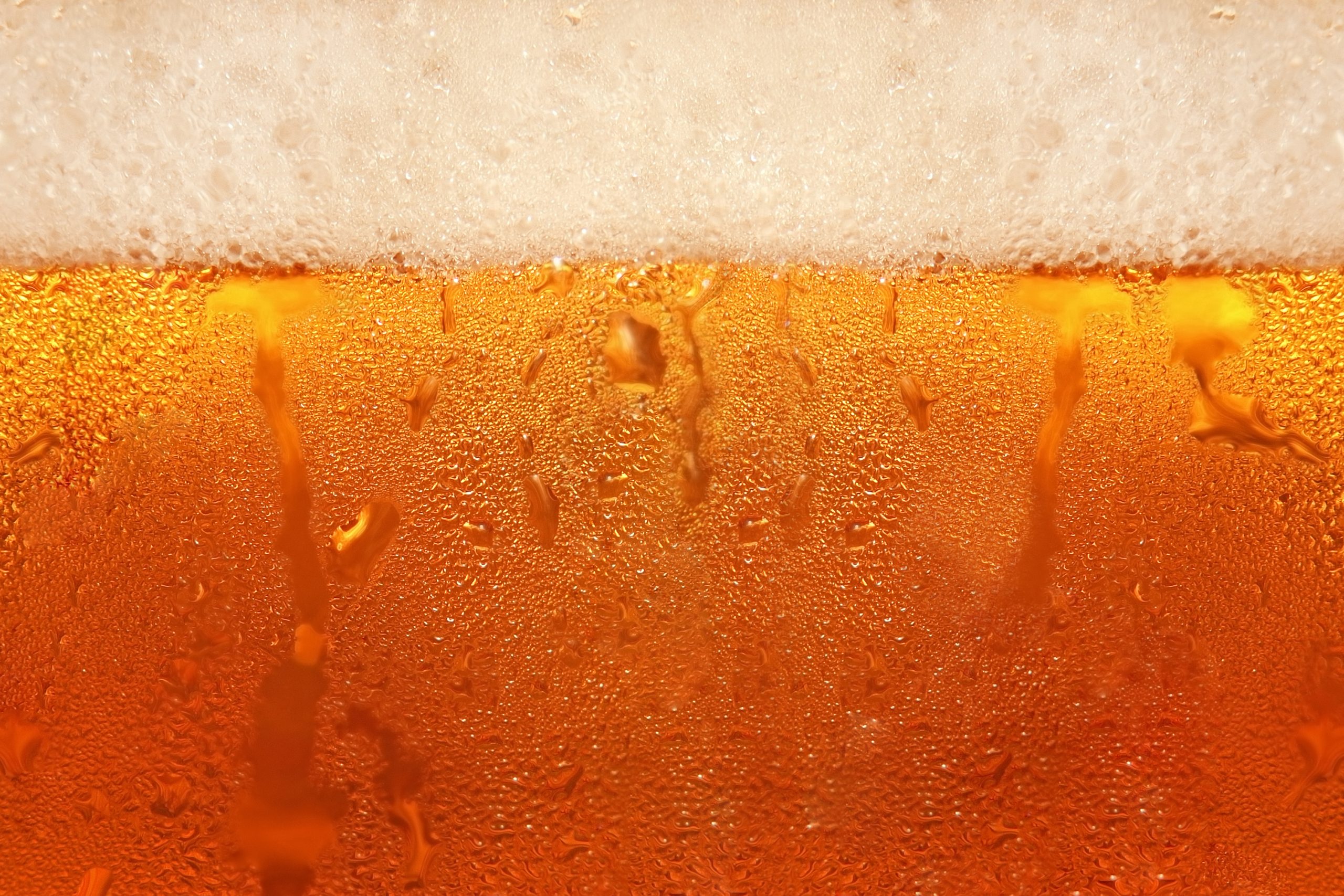 Lion Brewery Re-enters Indian Market After 60 Years