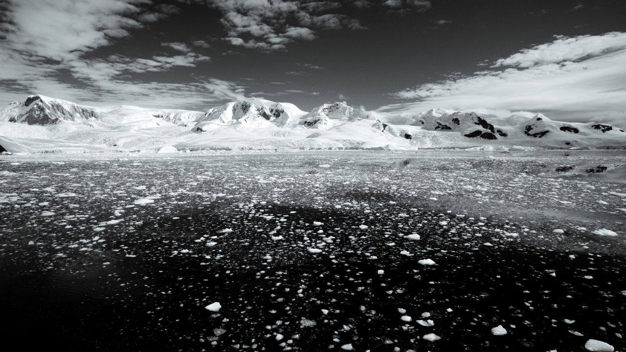 Massive Winter Sea Ice Failure in Antarctica Linked to Warming