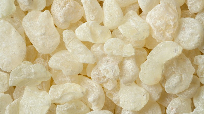 Mastic Gum formt die Kieferlinie nicht um