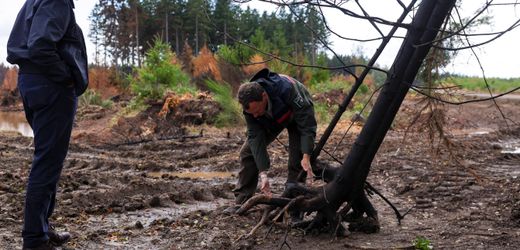 Merz besucht Waldbrandgebiet und rügt Klimaleugner