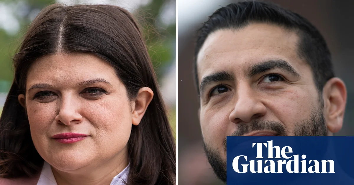 Michigan Senate Primary Tests Democratic Party’s Direction