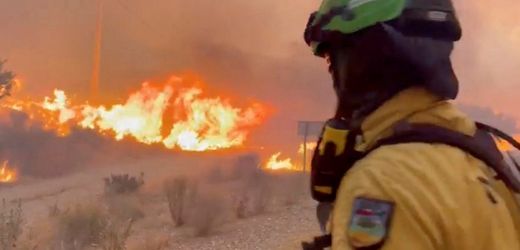 Mindestens zwölf Tote bei Waldbrand in Andalusien