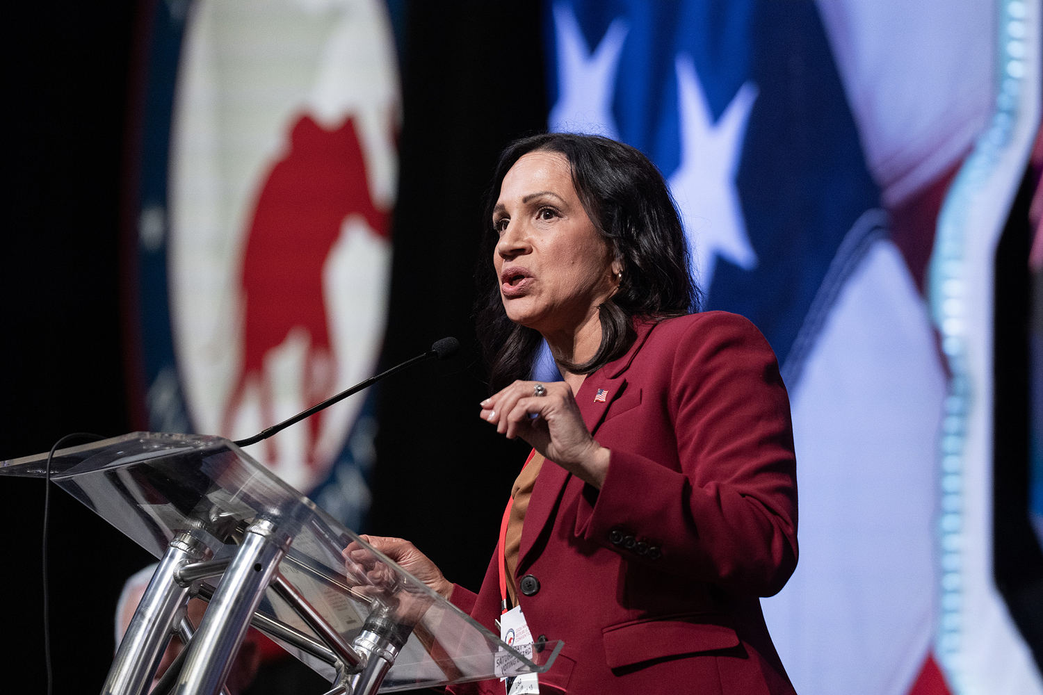 Minnesota GOP Selects Lisa Demuth Over Trump-Backed Mike Lindell for Governor