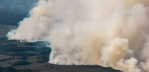 Monschau: Evakuierung von 17 Häusern wegen Waldbrandes im Hohen Venn
