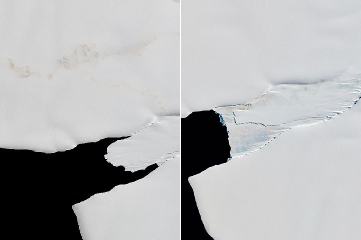 NASA Studies Emperor Penguin Response to Sea Ice Changes