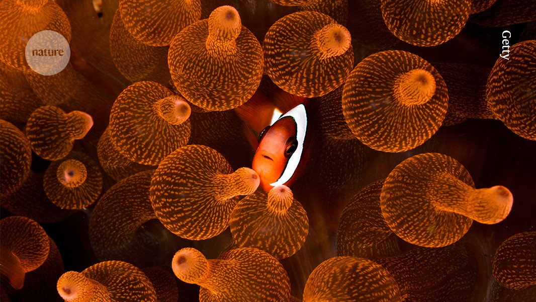New Books Explore Intertwined Lives of Species
